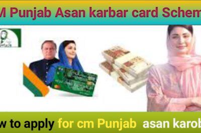 CM Punjab Asaan Karobar Finance 2025: Apply Online & Eligibility