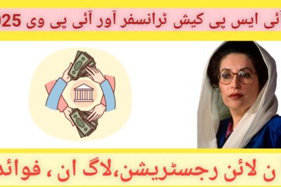 BISP Cash Transfers & IPV 2025: Online Registration, Login & Benefits