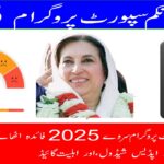 BISP Survey 2025 Beneficiary Payment