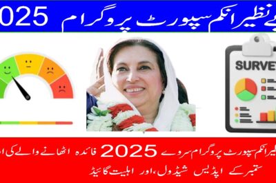 BISP Survey 2025 Beneficiary Payment Complete Guide