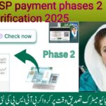 BISP Payment Phase 2 Verification