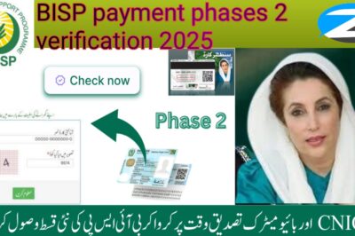 How to Check BISP Payment Phase 2 Verification Online