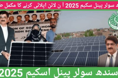 Sindh Solar Panel Scheme 2025 – How to Apply Online