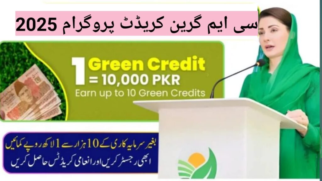 CM Punjab Green Credit Program 2025