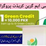 CM Punjab Green Credit Program 2025