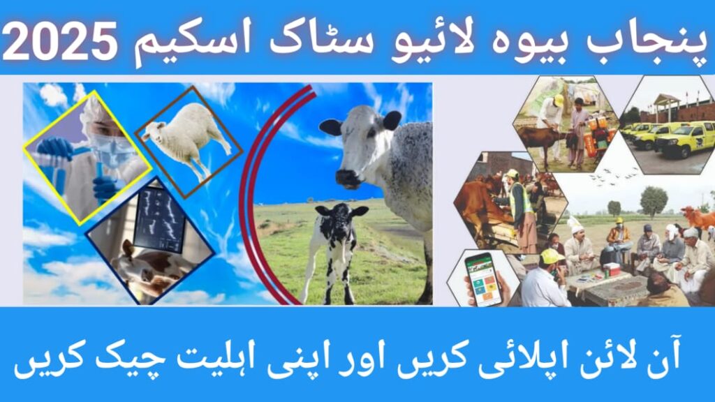 CM Punjab Livestock Scheme for Widows 2025