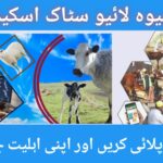 CM Punjab Livestock Scheme for Widows 2025